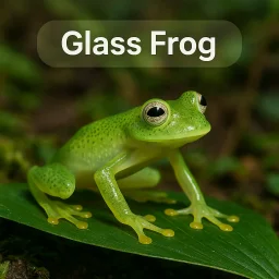 Glass Frog